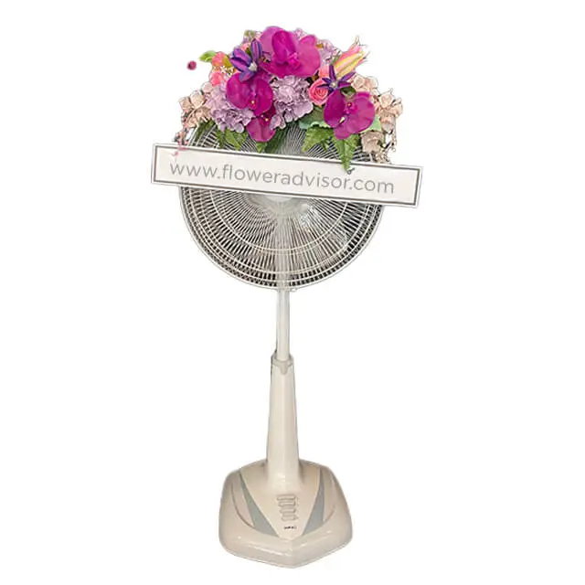 product-details