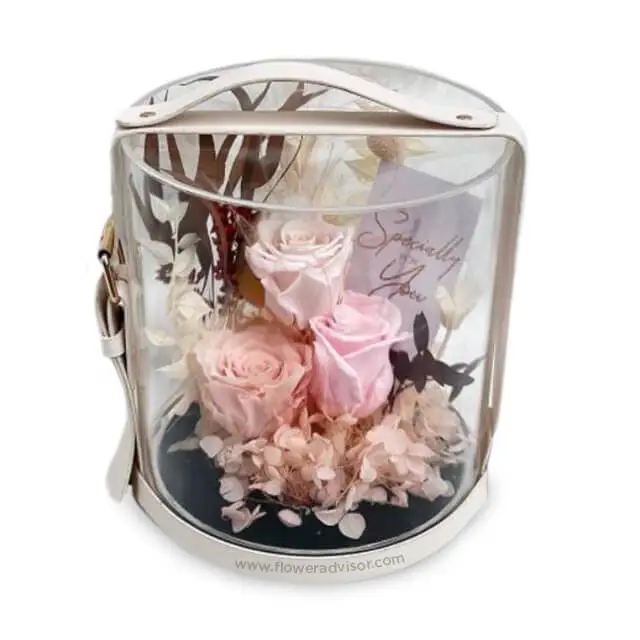 product-details
