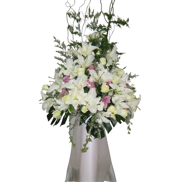 product-details
