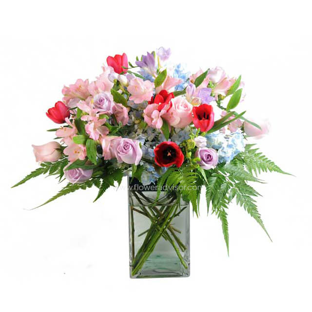 Precious Constellation