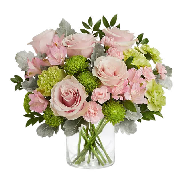 Delightful Garden Ensemble