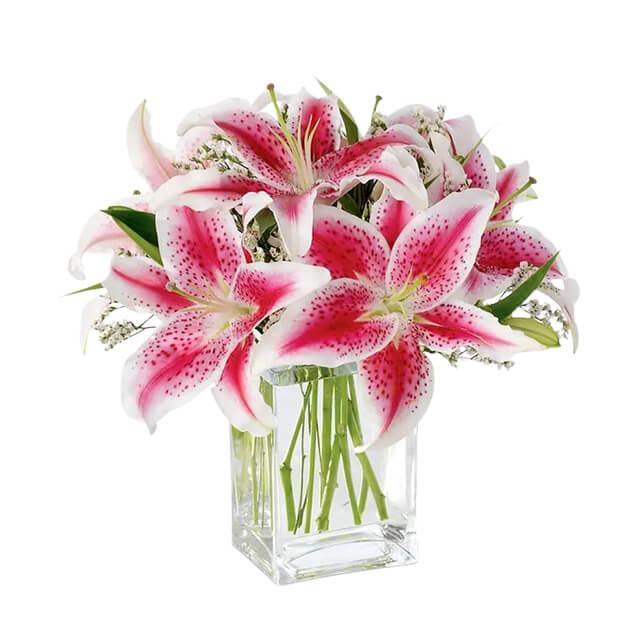 The Shining Stargazer Bouquet