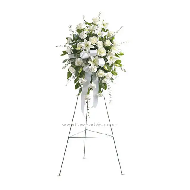 product-details