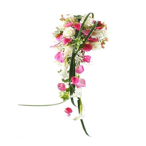product-details