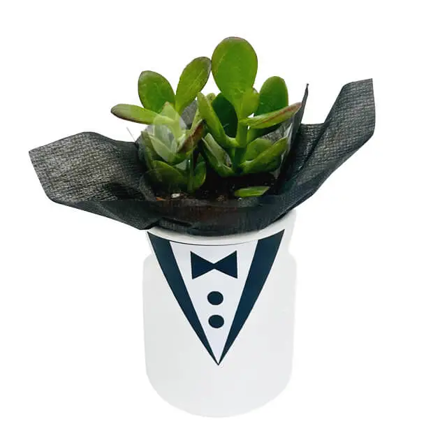 product-details