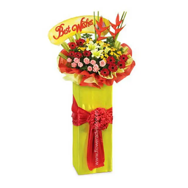 product-details