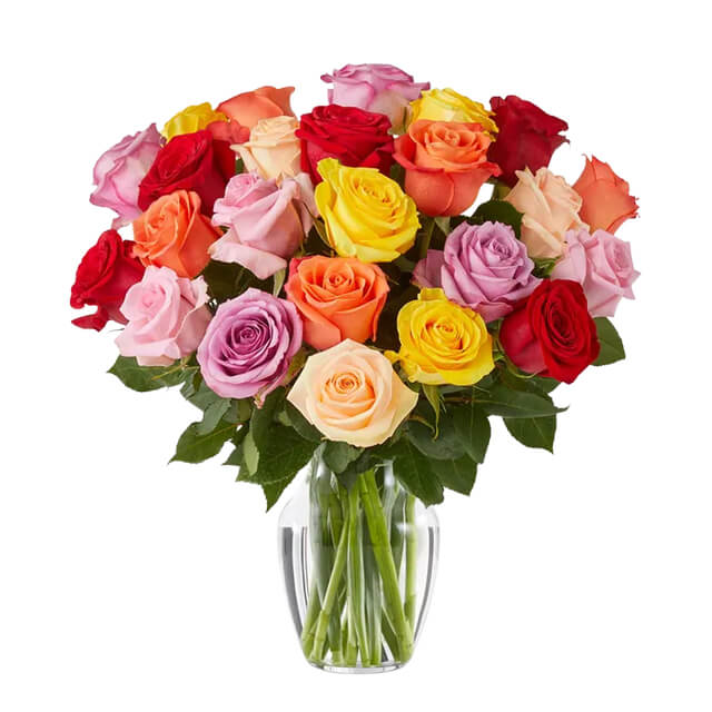 Two Dozen Rainbow Roses Mermadia