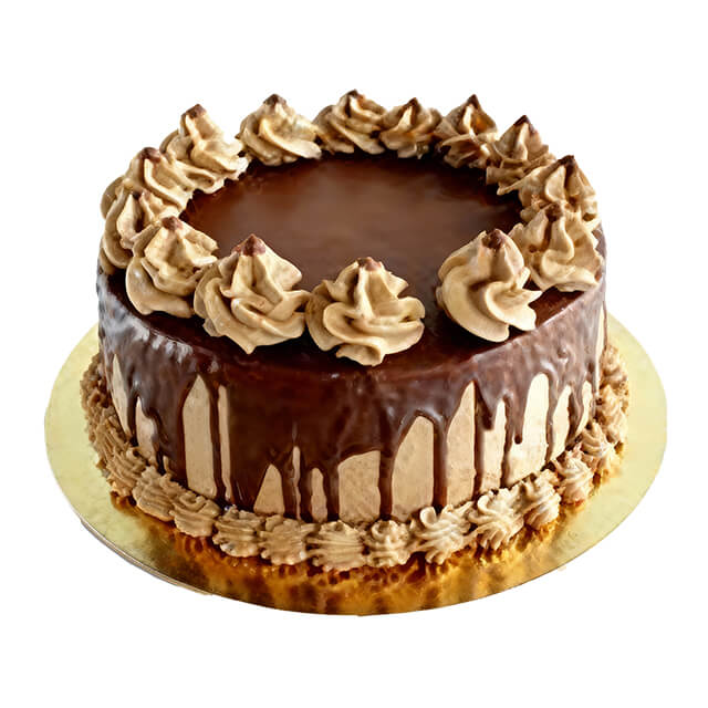 Chocolate Fiesta Cake