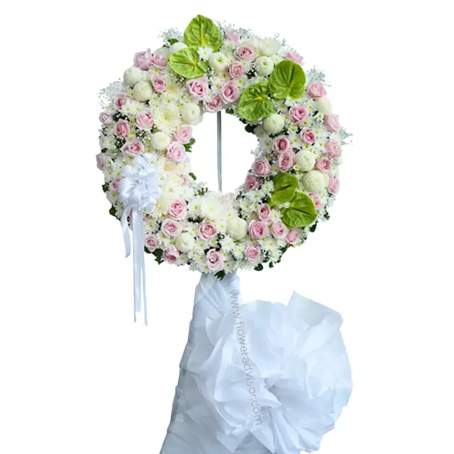 product-details