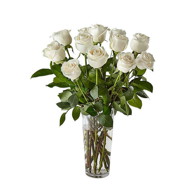Long Stem White Rose Bouquet 12