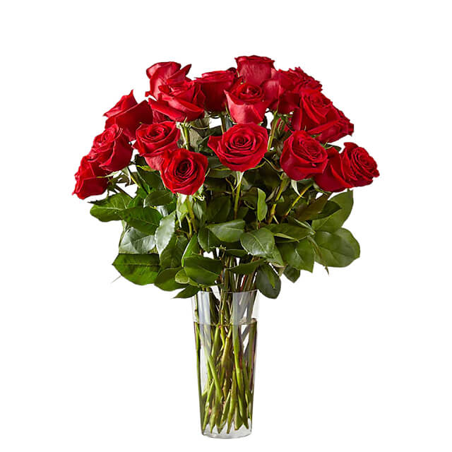 Long Stem Red Roses 24